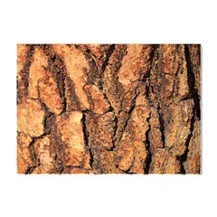 Bark Texture Wood Large Rough Red Wood Outside California Crystal Sticker (a4) by Ket1n9