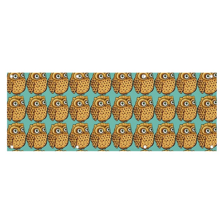 Owl Bird Cartoon Banner and Sign 8  x 3 