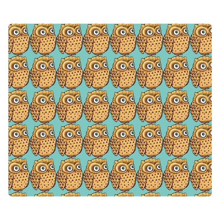 Owl Bird Cartoon Premium Plush Fleece Blanket (Small)