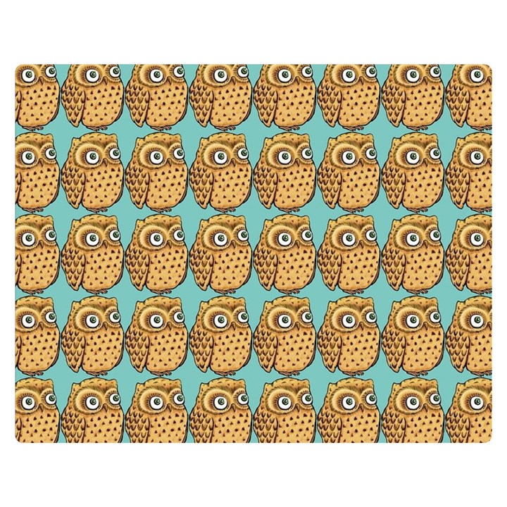 Owl Bird Cartoon Premium Plush Fleece Blanket (Medium)