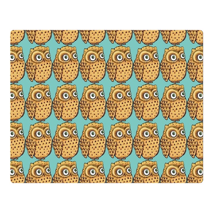 Owl Bird Premium Plush Fleece Blanket (Large)