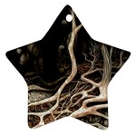 Tree Nature Landscape Forest Ornament (Star) Front