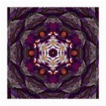 Rosette Kaleidoscope Mosaic Abstract Background Art Medium Glasses Cloth (2 Sides) Front