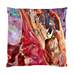 Marbling Blend  Standard Cushion Case (one Side) by kaleidomarblingart