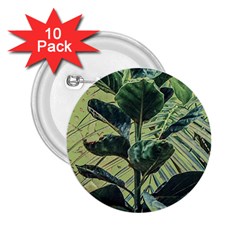 Botanical Tropical Motif Photo Art 2 25  Buttons (10 Pack) 