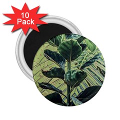 Botanical Tropical Motif Photo Art 2 25  Magnets (10 Pack)  by dflcprintsclothing