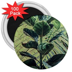 Botanical Tropical Motif Photo Art 3  Magnets (100 Pack) by dflcprintsclothing