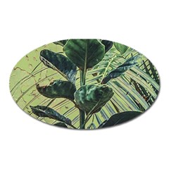 Botanical Tropical Motif Photo Art Oval Magnet by dflcprintsclothing