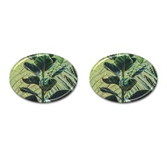 Botanical Tropical Motif Photo Art Cufflinks (oval) by dflcprintsclothing