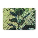 Botanical Tropical Motif Photo Art Small Doormat 24 x16  Door Mat