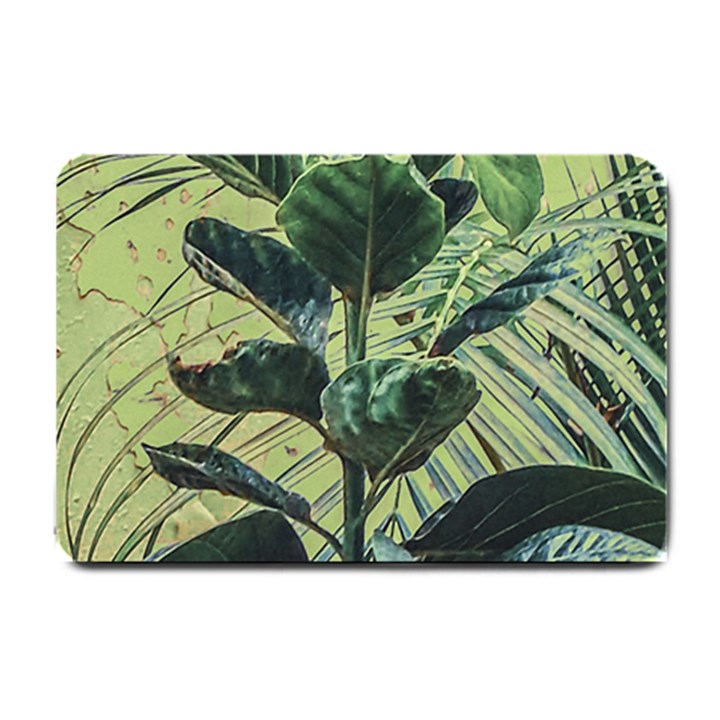 Botanical Tropical Motif Photo Art Small Doormat