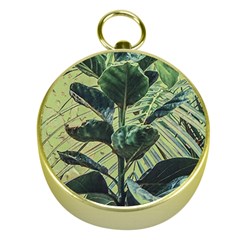 Botanical Tropical Motif Photo Art Gold Compasses