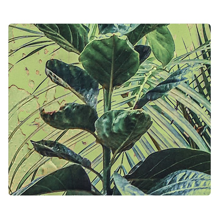 Botanical Tropical Motif Photo Art Two Sides Premium Plush Fleece Blanket (Small)