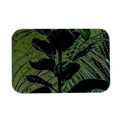 Botanical Tropical Motif Photo Art Open Lid Metal Box (silver)   by dflcprintsclothing