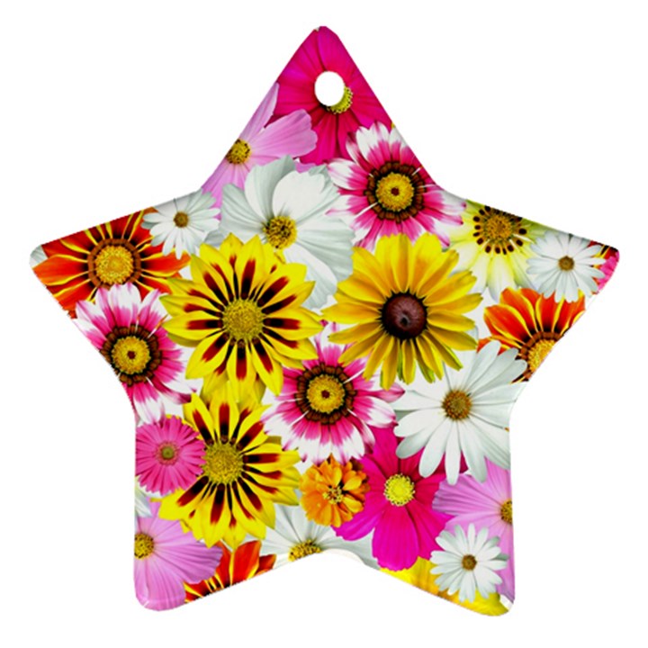 Flowers Blossom Bloom Nature Plant Star Ornament (Two Sides)