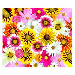 Flowers Blossom Bloom Nature Plant Two Sides Premium Plush Fleece Blanket (small) by Amaryn4rt