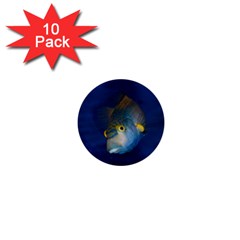 Fish Blue Animal Water Nature 1  Mini Buttons (10 Pack)  by Amaryn4rt