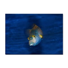 Fish Blue Animal Water Nature Sticker A4 (10 Pack) by Amaryn4rt