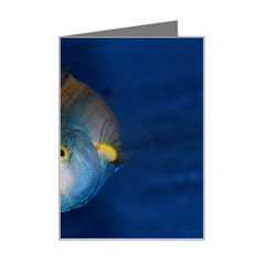 Fish Blue Animal Water Nature Mini Greeting Card