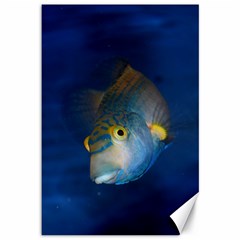 Fish Blue Animal Water Nature Canvas 12  X 18  by Amaryn4rt