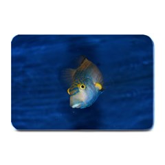 Fish Blue Animal Water Nature Plate Mats by Amaryn4rt