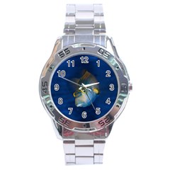 Fish Blue Animal Water Nature Stainless Steel Analogue Watch by Amaryn4rt