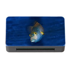 Fish Blue Animal Water Nature Memory Card Reader With Cf by Amaryn4rt