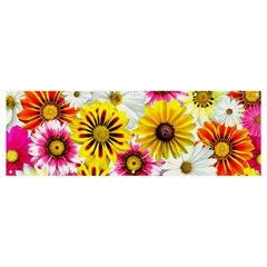 Flowers Blossom Bloom Nature Plant Banner And Sign 12  X 4  by Amaryn4rt