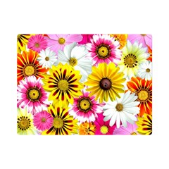 Flowers Blossom Bloom Nature Plant Premium Plush Fleece Blanket (mini) by Amaryn4rt