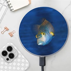 Fish Blue Animal Water Nature Wireless Fast Charger(white) by Amaryn4rt