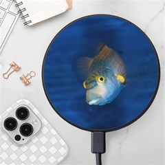 Fish Blue Animal Water Nature Wireless Fast Charger(black) by Amaryn4rt