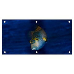 Fish Blue Animal Water Nature Banner And Sign 6  X 3  by Amaryn4rt