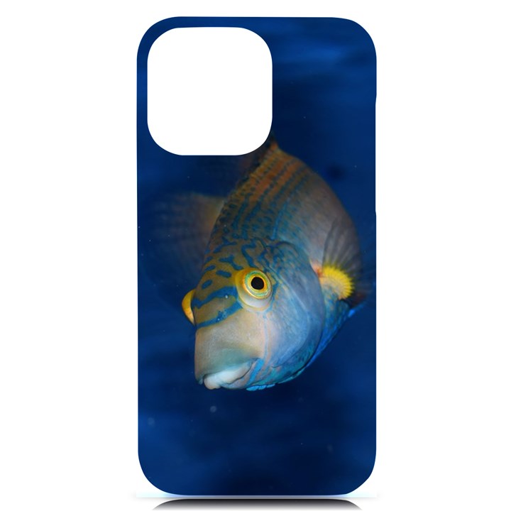 Fish Blue Animal Water Nature iPhone 14 Pro Max Black UV Print Case