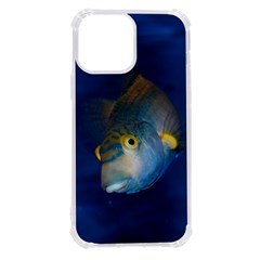 Fish Blue Animal Water Nature Iphone 13 Pro Max Tpu Uv Print Case by Amaryn4rt