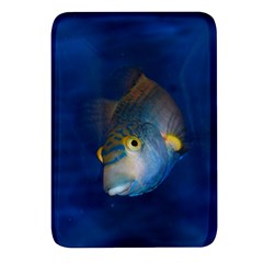 Fish Blue Animal Water Nature Rectangular Glass Fridge Magnet (4 Pack) by Amaryn4rt