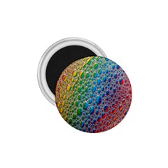 Bubbles Rainbow Colourful Colors 1 75  Magnets by Amaryn4rt