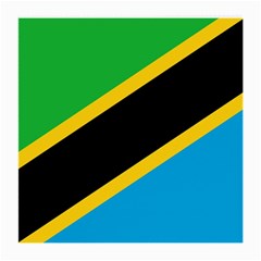 Flag Of Tanzania Medium Glasses Cloth by Amaryn4rt