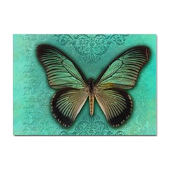 Butterfly Background Vintage Old Grunge Sticker A4 (10 Pack) by Amaryn4rt