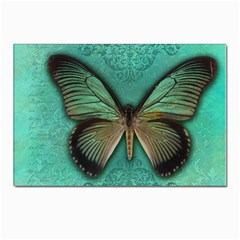 Butterfly Background Vintage Old Grunge Postcard 4 x 6  (pkg Of 10) by Amaryn4rt