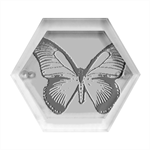 Butterfly Background Vintage Old Grunge Hexagon Wood Jewelry Box Front