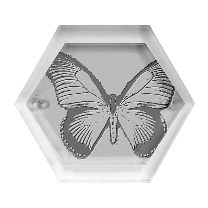 Butterfly Background Vintage Old Grunge Hexagon Wood Jewelry Box