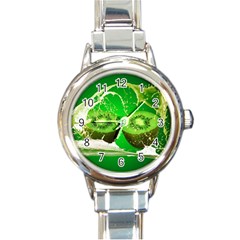 Kiwi Fruit Vitamins Healthy Cut Round Italian Charm Watch by Amaryn4rt