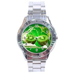 Kiwi Fruit Vitamins Healthy Cut Stainless Steel Analogue Watch by Amaryn4rt