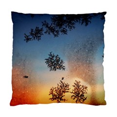 Hardest-frost-winter-cold-frozen Standard Cushion Case (two Sides) by Amaryn4rt