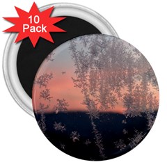 Hardest-frost-winter-cold-frozen 3  Magnets (10 Pack)  by Amaryn4rt