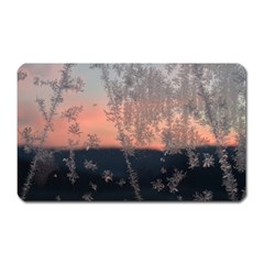 Hardest-frost-winter-cold-frozen Magnet (rectangular) by Amaryn4rt