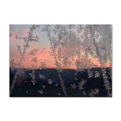 Hardest-frost-winter-cold-frozen Sticker A4 (100 Pack) by Amaryn4rt