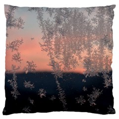 Hardest-frost-winter-cold-frozen Large Cushion Case (two Sides) by Amaryn4rt