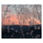 Hardest-frost-winter-cold-frozen Two Sides Premium Plush Fleece Blanket (Small) 50 x40  Blanket Front