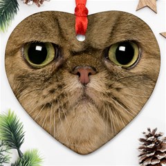 Cute Persian Catface In Closeup Ornament (heart) by Amaryn4rt